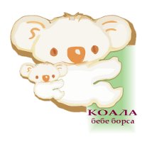 copil koala