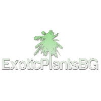 plante exotice